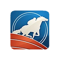 RCB988 logo